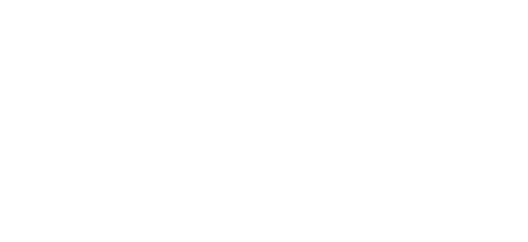 Aramco Fleet