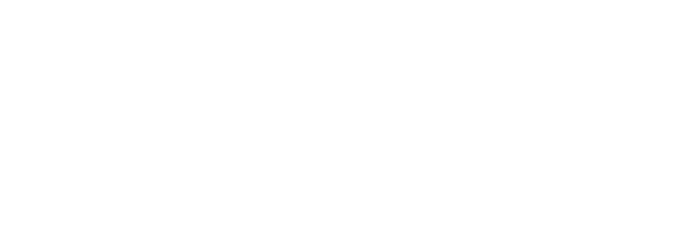 Pro Force